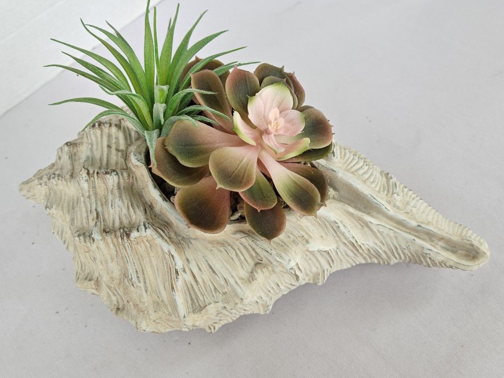 Clam Seashell Artificial Plant Succulent Garden Decor