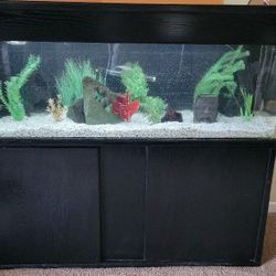 100g Fresh Water Fish Tank