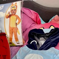 Bluey And Bingo Kid Costumes
