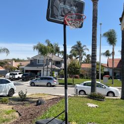 Portable Basketball Hoop And With Ball