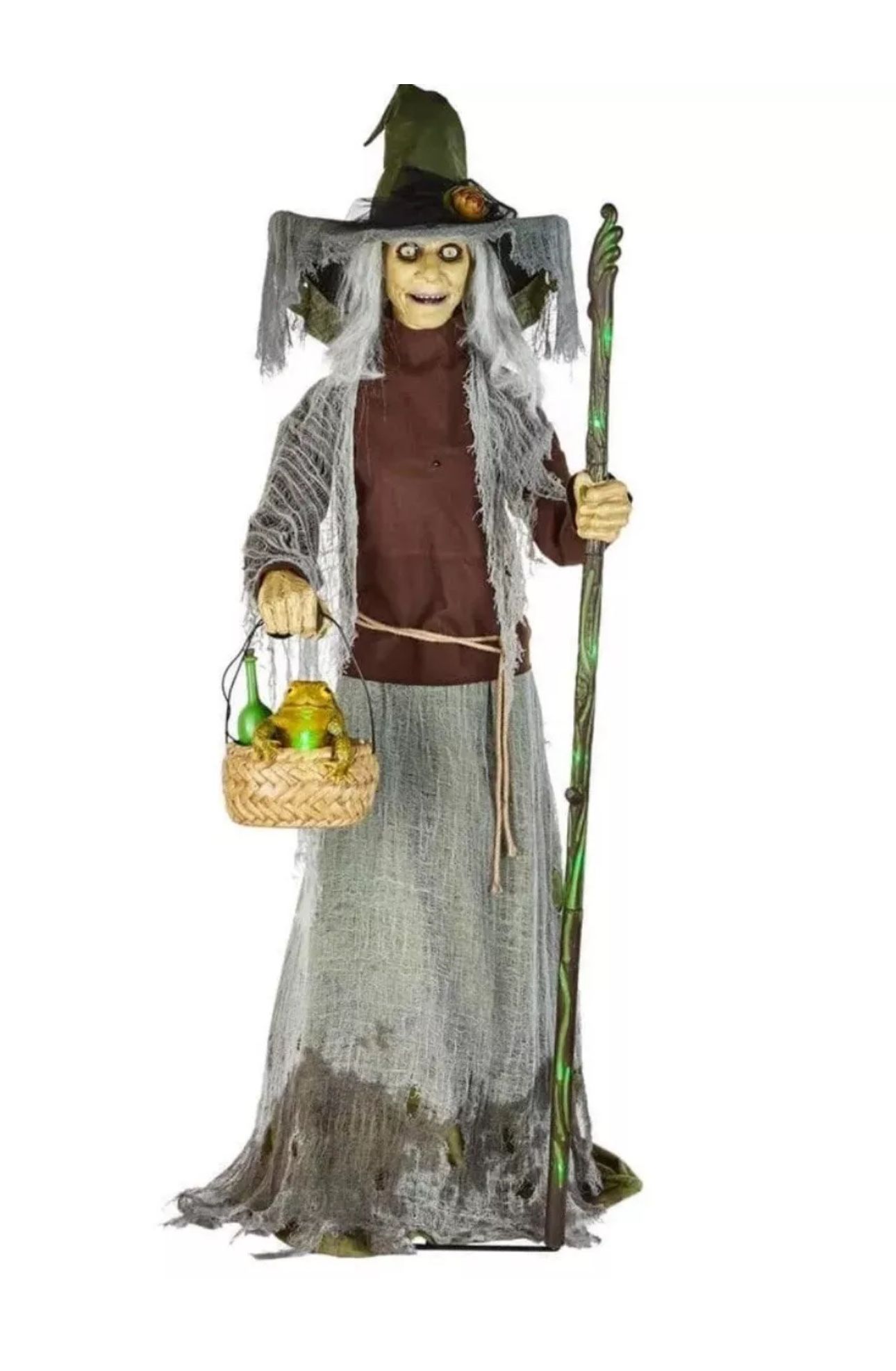 Home Depot Lethal Lily Swamp Witch