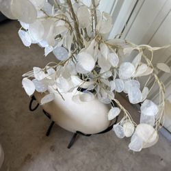 Flower Vase 🏺 🌸 