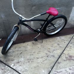 Wide Tire Bike 