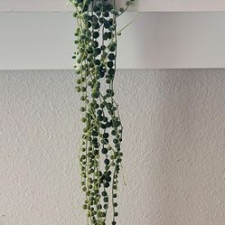 String Of Pearls 