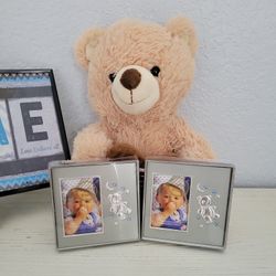 Silver Teddy Bear 🧸 PORTRAITS 