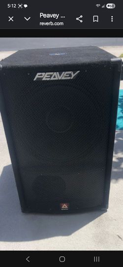 PEAVEY  stage speaker
