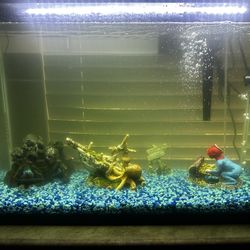 30 Gallon Fish Tank