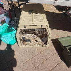 Kennel