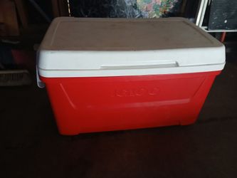 Igloo 48-quart Laguna Ice Chest Cooler