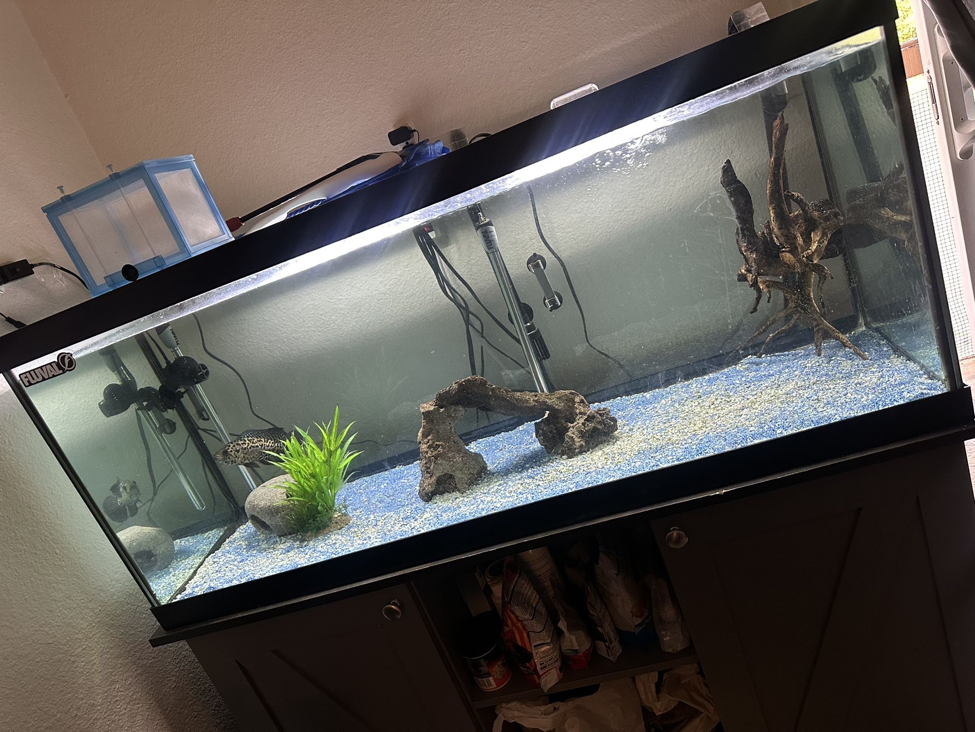 Fish Tank W/ 2 Fishes