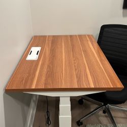 Branch Standing Desk (NEW) 