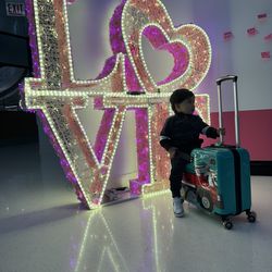 Toddler Stroller Luggage Combo!