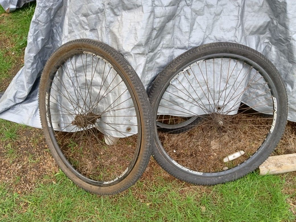 29er 29-in Front And Back Rims For Beach Cruiser Bike Coaster Brake