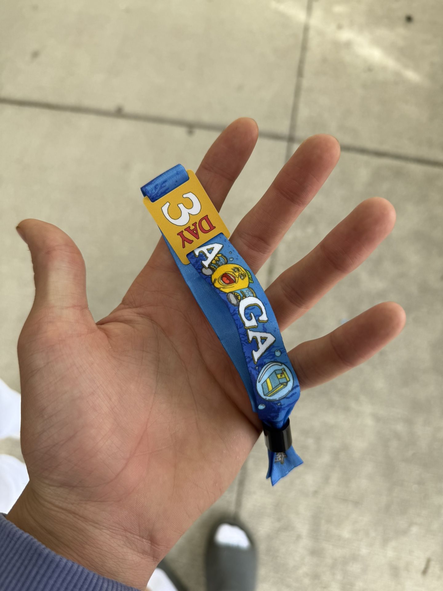 3 DAY SUMMER SMASH TICKET
