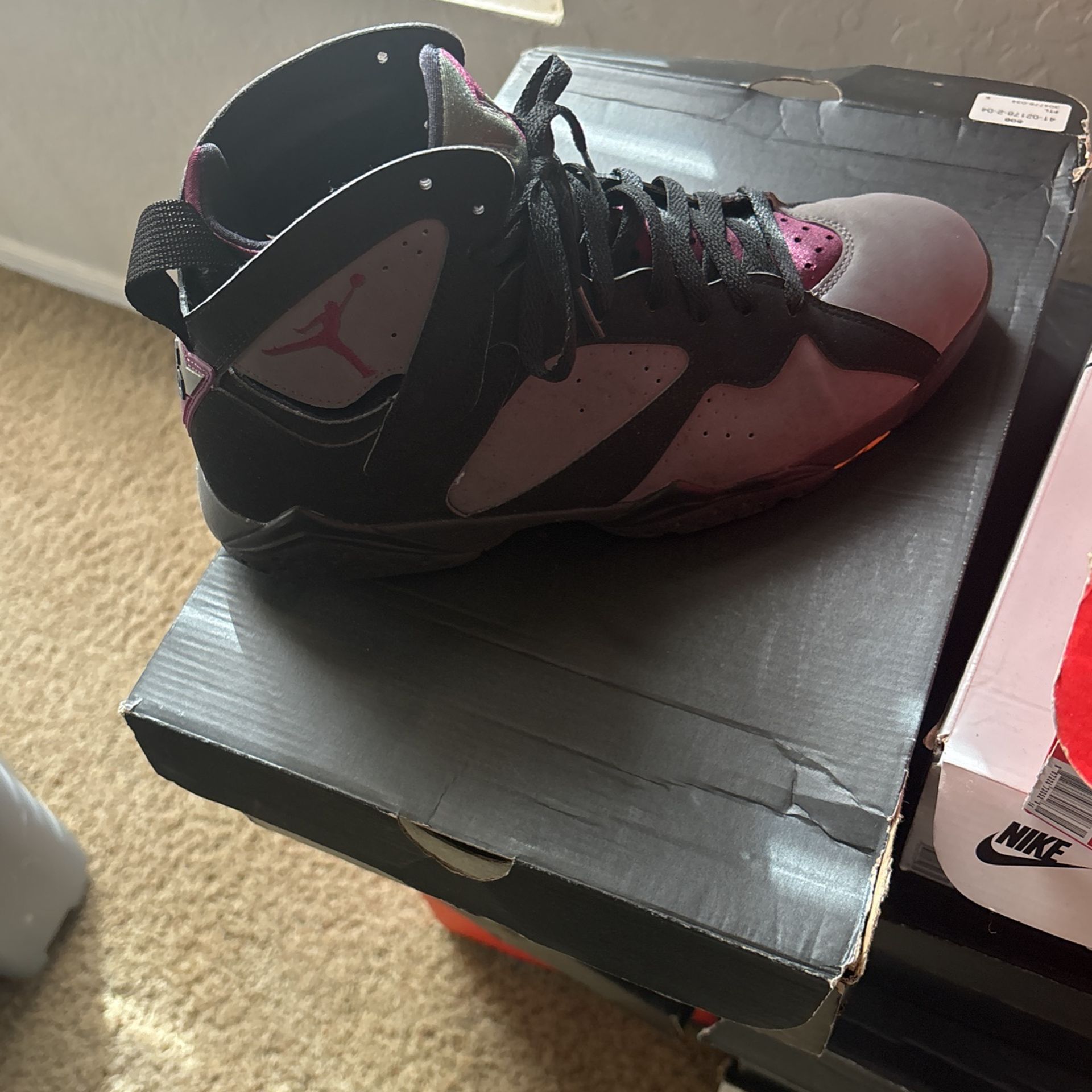 Jordan 7