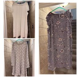 Women’s Size 20 Loft Swing Style Dresses $20 Each Located in Murray cash/Venmo. Venmo deposit to hold or fcfs.