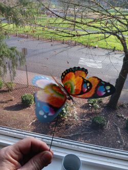 Garden Butterfly Decorations