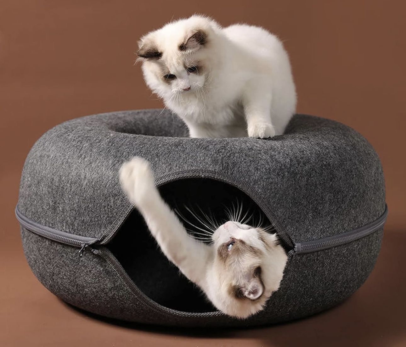 Cat Tunnel & Bed