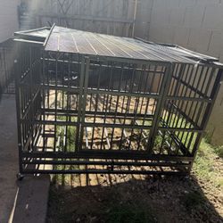 Xl Dog Kennel