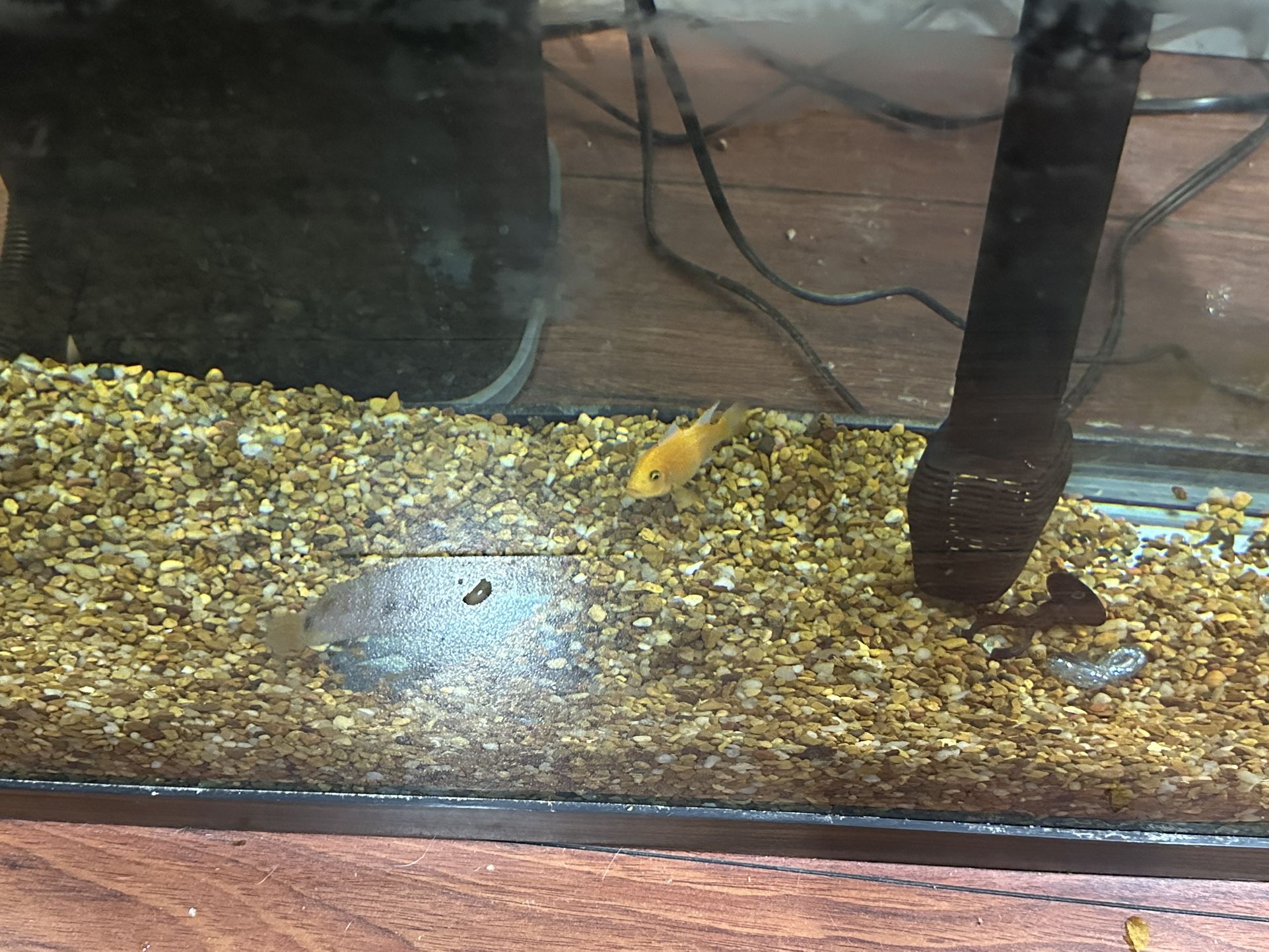Aquarium Gravel