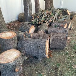 Free Pine Logs And Branches 