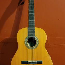 Encore Acoustic Guitar 