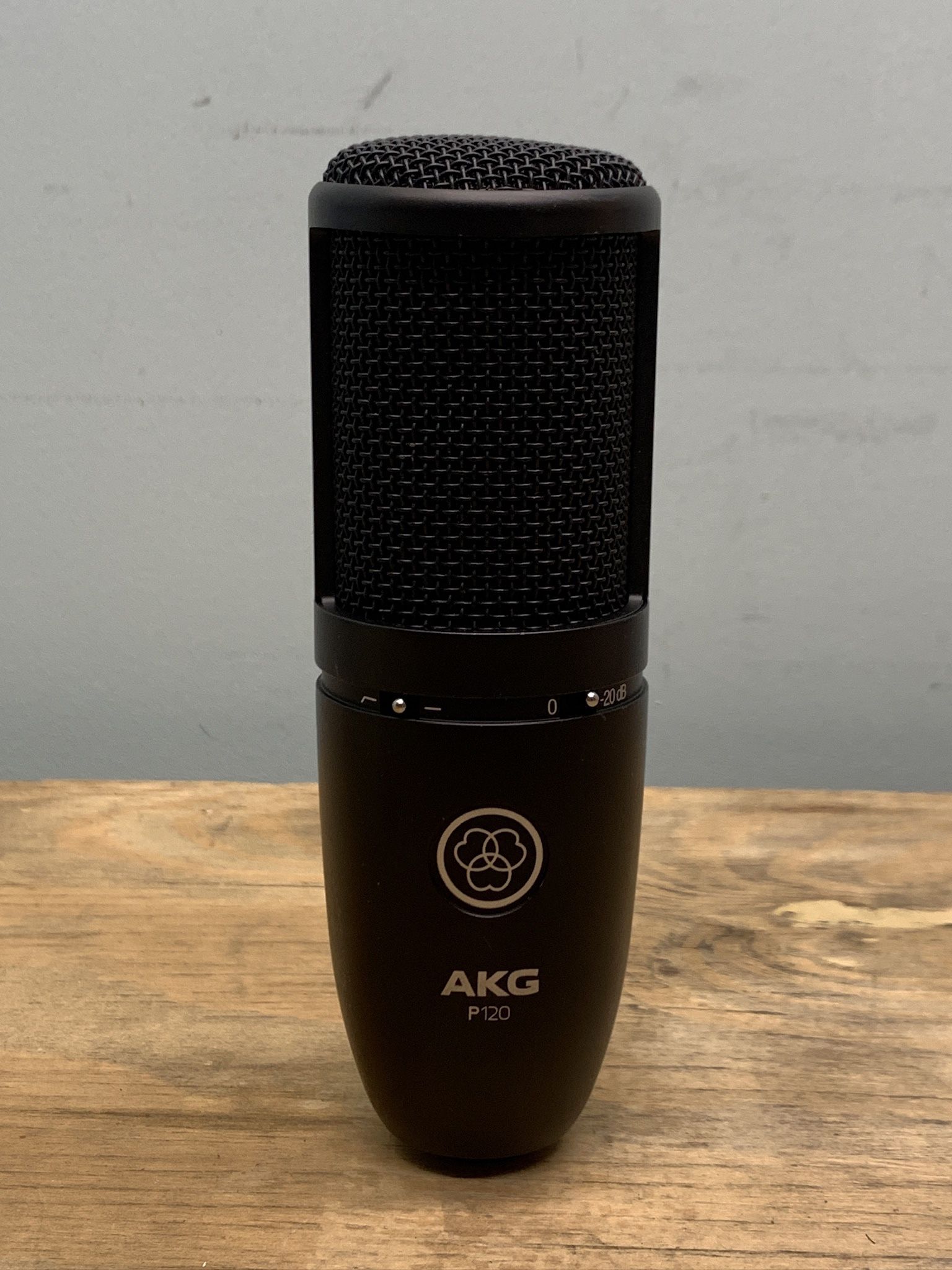 Akg  P120