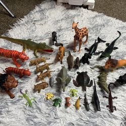 Toy Animal Figurines