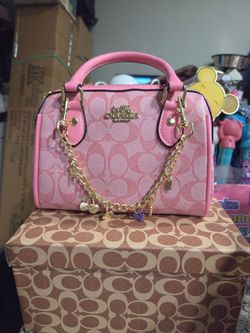 Hermosas bolsa