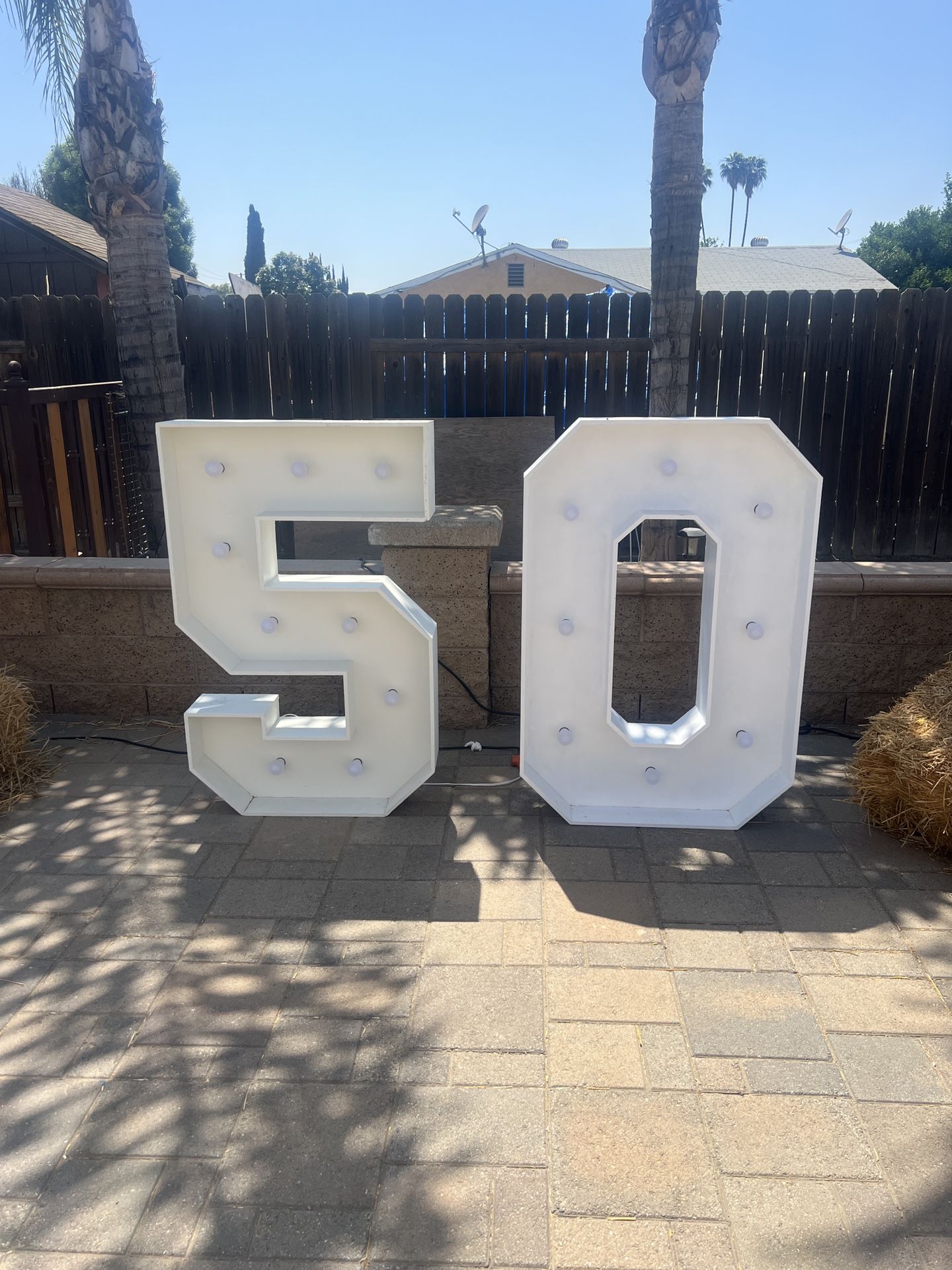 4Ft Numbers W Lights 