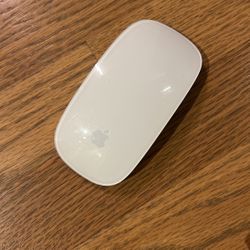 Apple Mouse