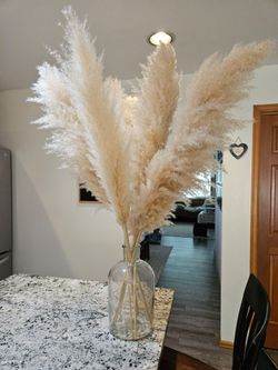 Pampas grass with glass jug
