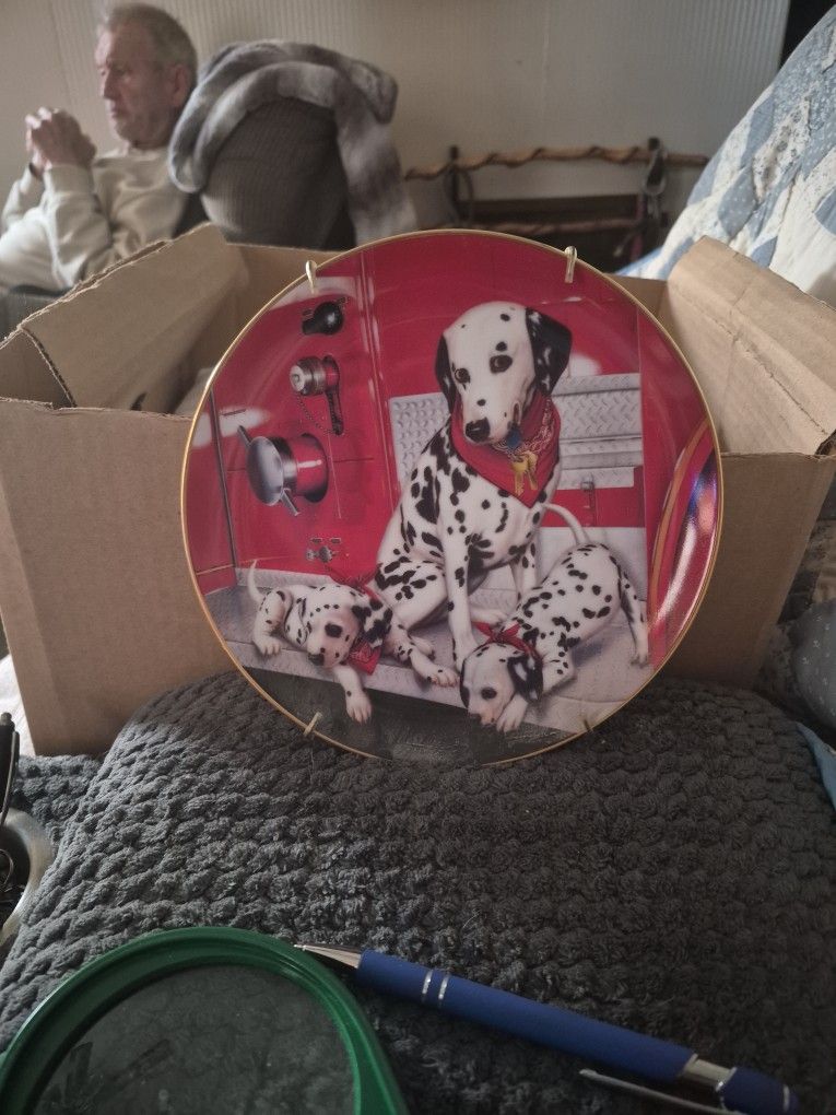 This Is A Collection Plate.  On The Back Said  Three-Dog Alarm. The Year 1992