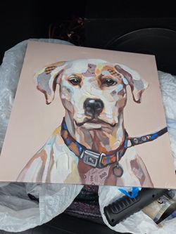 Dog poster