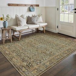 PureCozy Area Rug 5x7 Retro Traditional Accent