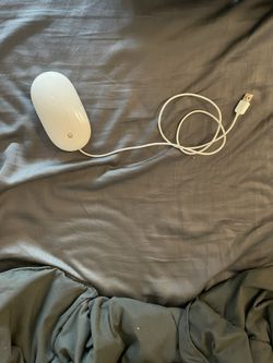 Apple Mouse USB Plug