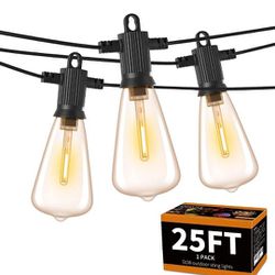 ZOTOYI 25ft Outdoor String Lights, IP65 Waterproof with 13 Shatterproof ST38 LED Bulbs (1 Spare), Dimmable Outdoor Hanging Lights for Backyard, Bistro
