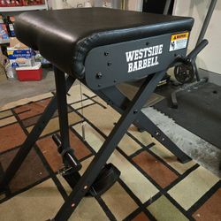 Westside Barbell Reverse Hyper