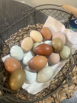 Fresh Farm Eggs 🪺 