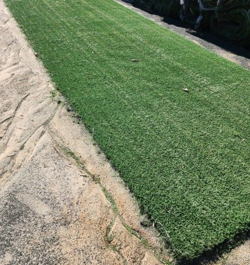 MOSTLY ALL GREEN USED ARTIFICIAL GRASS / SYNTHETIC GRASS for Sale in