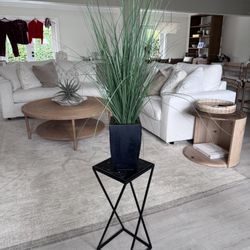 House Plant And Marble Top Table 