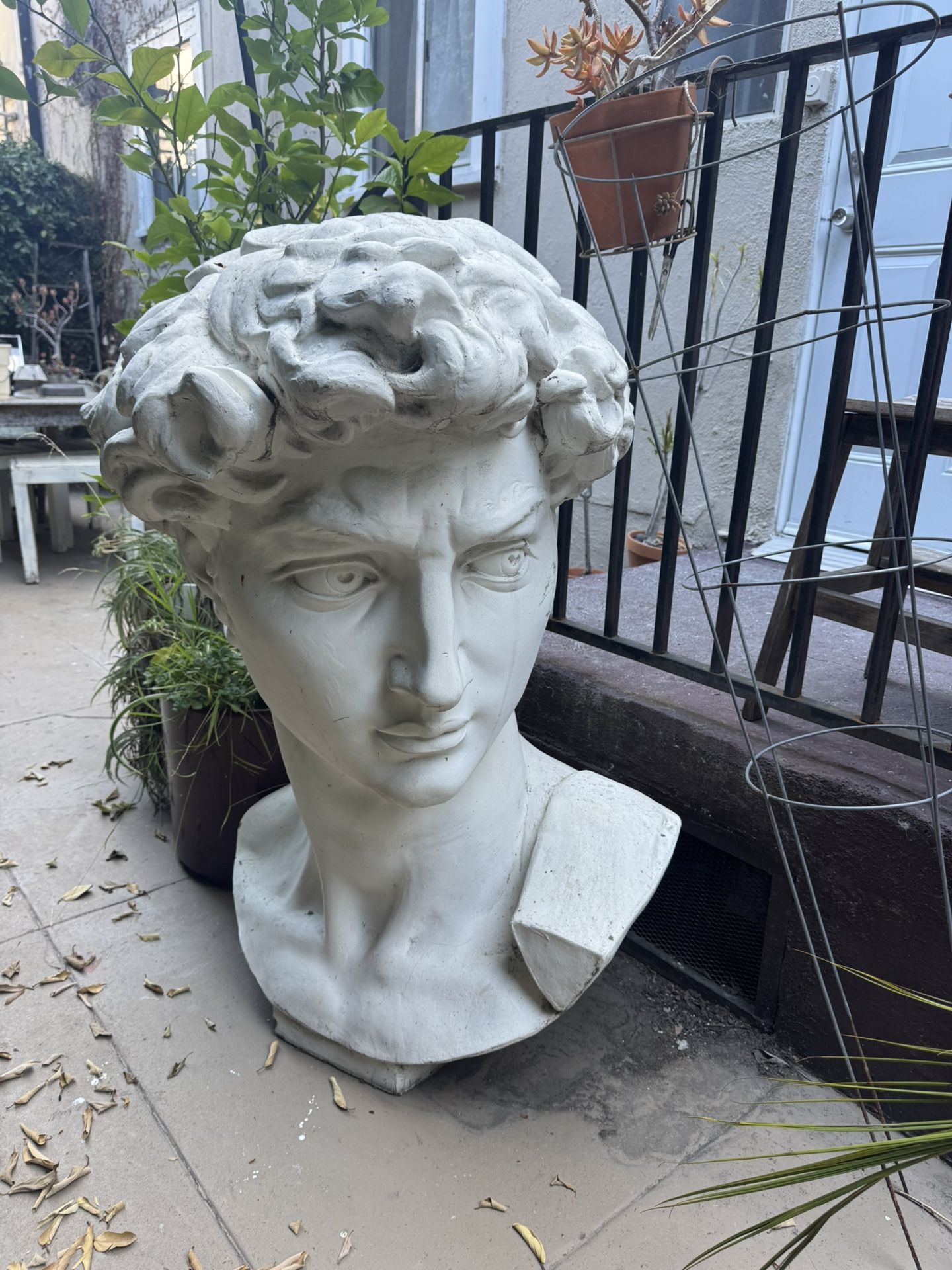 David Bust Statue, Plaster