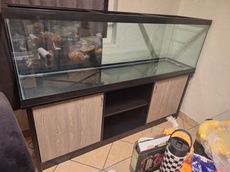 Fish Tank