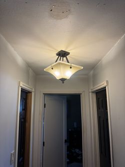 2 Bulb Light Fixture