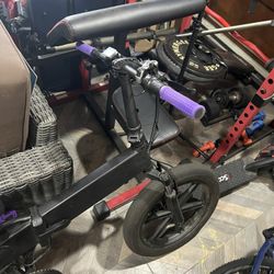 Electric Bike