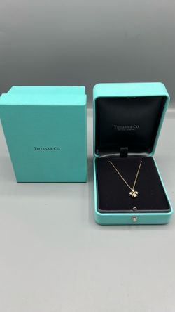 18kyg Tiffany & Co chain