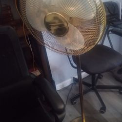 FAN