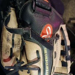 Youth Ball Glove .