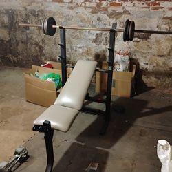 Weight Bench And Weights 