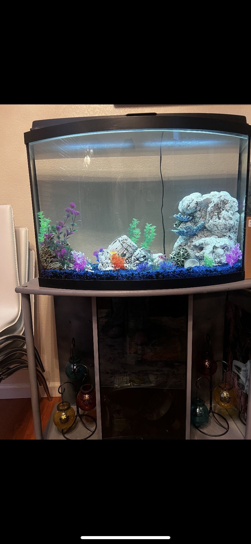Fish Tank. And Stand